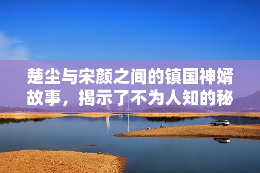 楚尘与宋颜之间的镇国神婿故事，揭示了不为人知的秘密和情感