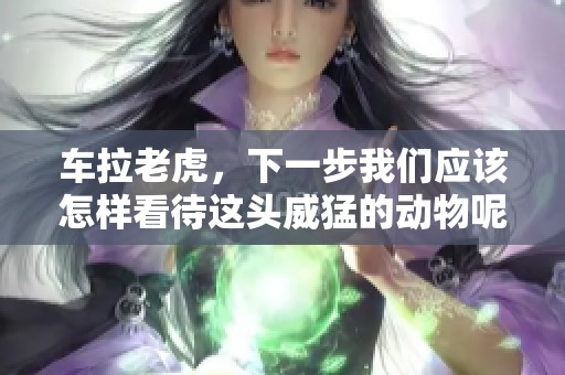 车拉老虎，下一步我们应该怎样看待这头威猛的动物呢