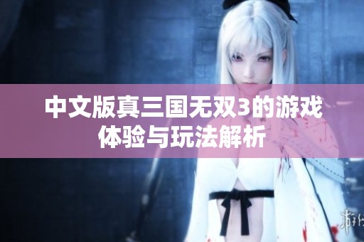 中文版真三国无双3的游戏体验与玩法解析