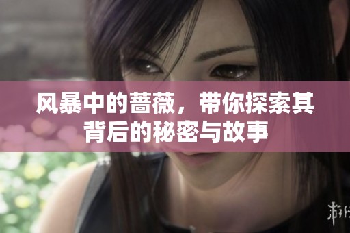 风暴中的蔷薇，带你探索其背后的秘密与故事