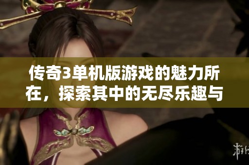 传奇3单机版游戏的魅力所在，探索其中的无尽乐趣与挑战