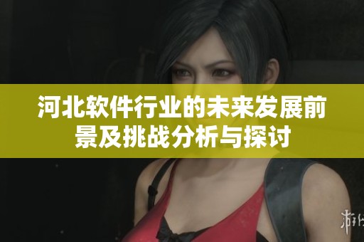 河北软件行业的未来发展前景及挑战分析与探讨