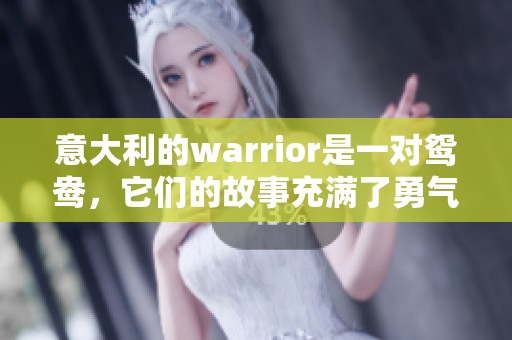 意大利的warrior是一对鸳鸯，它们的故事充满了勇气与感动