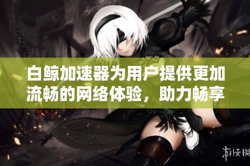 白鲸加速器为用户提供更加流畅的网络体验，助力畅享高速上网服务