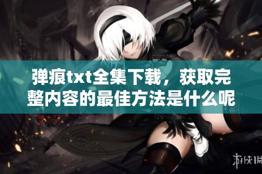 弹痕txt全集下载，获取完整内容的最佳方法是什么呢