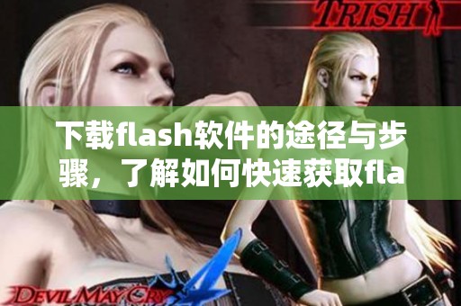 下载flash软件的途径与步骤，了解如何快速获取flash软件下载资源