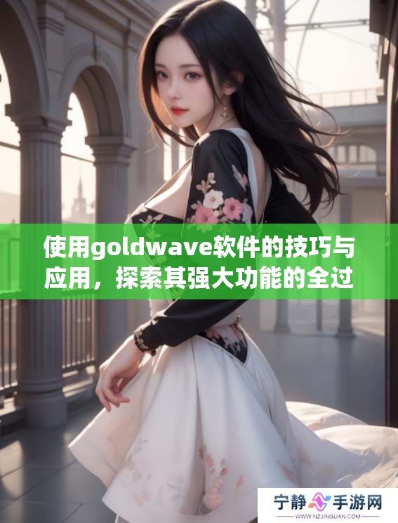 使用goldw**e软件的技巧与应用，探索其强大功能的全过程